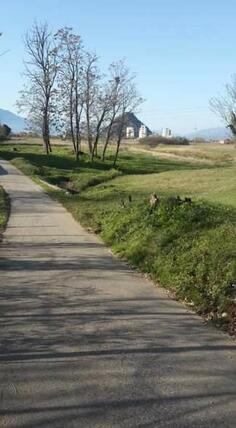 Poljoprivredno zemljište 5000m2 - Podgorica - Pričelje