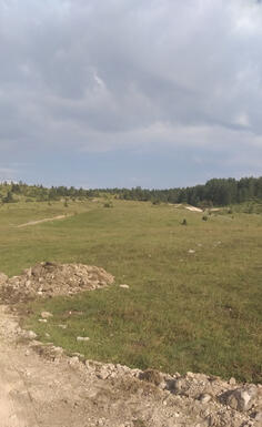 Poljoprivredno zemljište 104000m2 - Žabljak - Borje