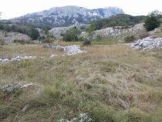 Građevinsko zemljište 20000m2 - Cetinje - Ivanova Korita