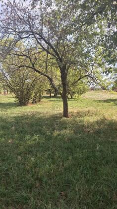 Građevinsko zemljište 1571m2 - Nikšić - Nikšić (uži dio)