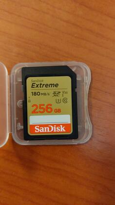 256 GB SD SanDisk