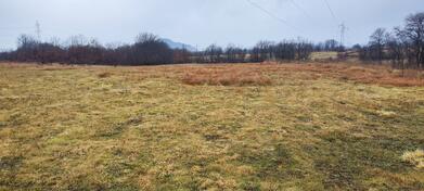 Poljoprivredno zemljište 13000m2 - Podgorica - Crnci