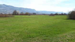 Poljoprivredno zemljište 10000m2 - Danilovgrad - Gorica