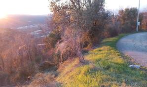 Građevinsko zemljište 11000m2 - Kotor - Prijeradi