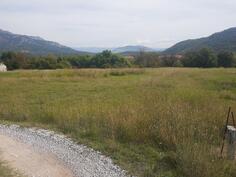 Poljoprivredno zemljište 33000m2 - Podgorica - Podgorica (uži dio)