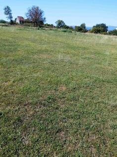 Poljoprivredno zemljište 81000m2 - Podgorica - Podgorica (uži dio)