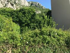 Građevinsko zemljište 503m2 - Budva - Tudorovići