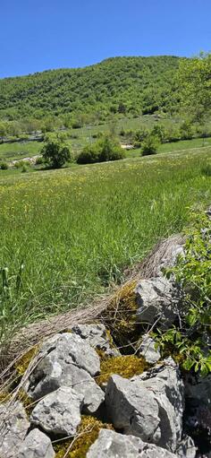Poljoprivredno zemljište  - Cetinje - Čevo