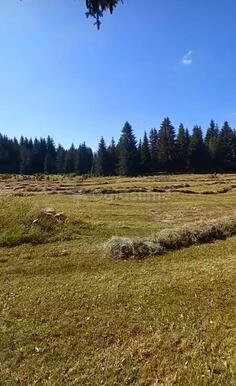 Poljoprivredno zemljište 15000m2 - Žabljak - Žabljak (uži dio)