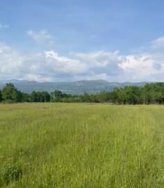 Građevinsko zemljište 5554m2 - Danilovgrad - Jastreb