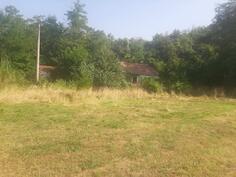 Poljoprivredno zemljište 23500m2 - Nikšić - Grahovo