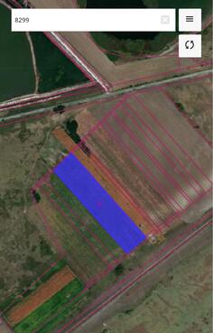 Poljoprivredno zemljište 18013m2 - Žabalj - Žabalj (uži dio)