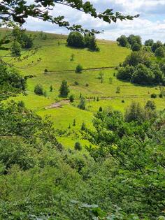 Građevinsko zemljište 1612m2 - Knjaževac - Ćuštica