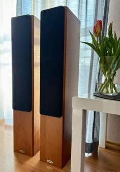Tannoy Revolution R2