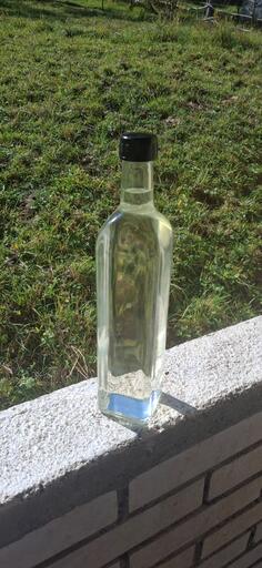 Sljiva domaca, 45gradi 16god stara