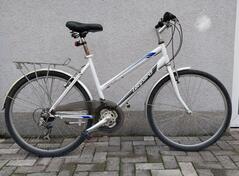 Leopard - Street Cat