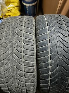 Dunlop - Dunlop zimska guma - Zimska guma