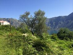 Građevinsko zemljište 26000m2 - Kotor - Prčanj
