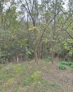 Građevinsko zemljište 1500m2 - Alibunar - > Okolina