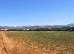 Poljoprivredno zemljište 9010m2 - Nikšić - Kličevo