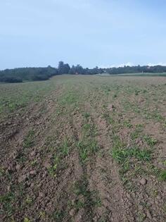 Građevinsko zemljište 22671m2 - Mladenovac - Vlaška