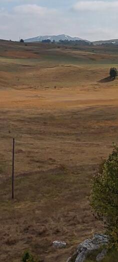 Građevinsko zemljište 74500m2 - Žabljak - Žabljak II