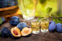 Ракија : ШЉИВА ЈАБУКА КРУШКА