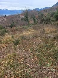 Građevinsko zemljište 420m2 - Kotor - Radanovići