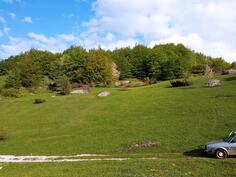 Poljoprivredno zemljište 60000m2 - Nikšić - Nikšić (uži dio)