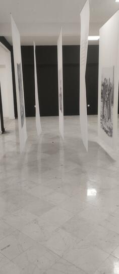 Poslovna zgrada 220m2 - Podgorica - Centar grada