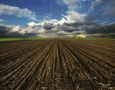 Građevinsko zemljište 7000m2 - Kotor - Lastva Grbaljska