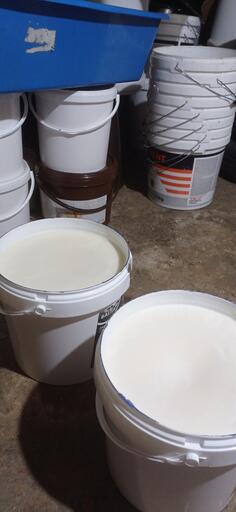 PRODAJEM SVINJSKU MAST