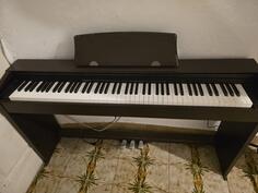 Casio klavir