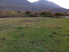 Poljoprivredno zemljište - Danilovgrad - Sladojevo Kopito