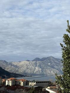 Kuća sa više stanova 50m2 - Kotor - Škaljari