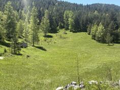 Građevinsko zemljište 500m2 - Žabljak - Borje