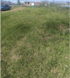 Poljoprivredno zemljište 1000m2 - Podgorica - Podgorica (uži dio)
