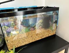 AKVARIJUM NA PRODAJU 