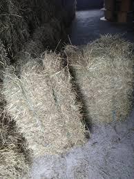 Prodajem bale sijena prva trava 067543640