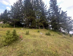 Građevinsko zemljište 1330m2 - Žabljak - > Okolina grada