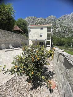 Vila 157m2 - Skopje - > Okolinata