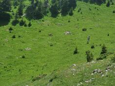 Poljoprivredno zemljište 1000m2 - Bijelo Polje - > Okolina grada