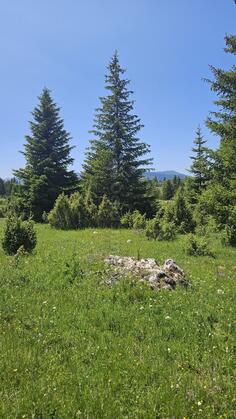 Poljoprivredno zemljište 1050m2 - Žabljak - Palež