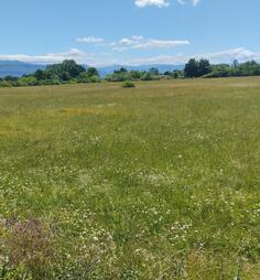 Industrijsko zemljište 5534m2 - Danilovgrad - Ćurilac