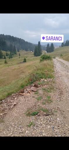 Građevinsko zemljište 170000m2 - Žabljak - > Okolina grada