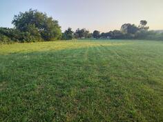 Građevinsko zemljište 6300m2 - Podgorica - Masline
