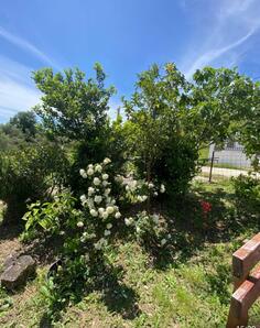 Građevinsko zemljište 400m2 - Bar - Šušanj