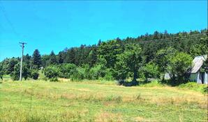 Poljoprivredno zemljište 472m2 - Danilovgrad - Brijestovo