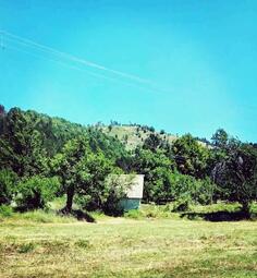 Poljoprivredno zemljište 472m2 - Danilovgrad - Brijestovo