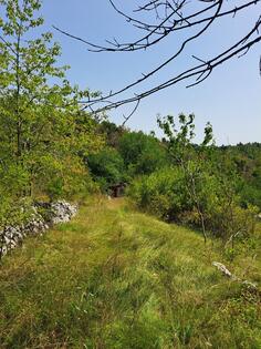 Građevinsko zemljište 18600m2 - Danilovgrad - Dolovi